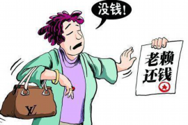 镇宁镇宁讨债公司服务